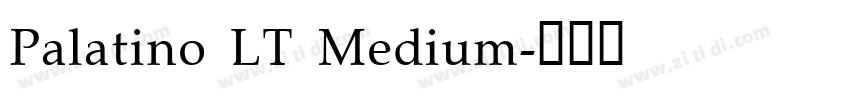 Palatino LT Medium字体转换